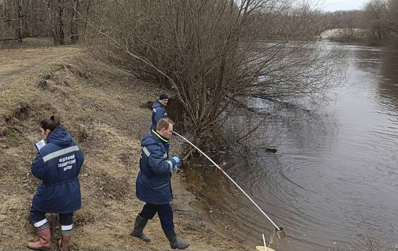 Природоохранная прокуратура через два года после прорыва унюхала слив нечистот рядом с Центральным пляжем Брянска