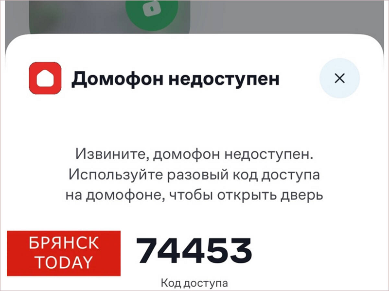 Умные домофоны провайдера «Дом.ру» в Брянске сошли с ума