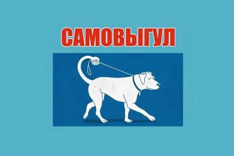 Брянским собакам отрезали самостоятельность: штраф за самовыгул без намордника — до 30 тысяч рублей