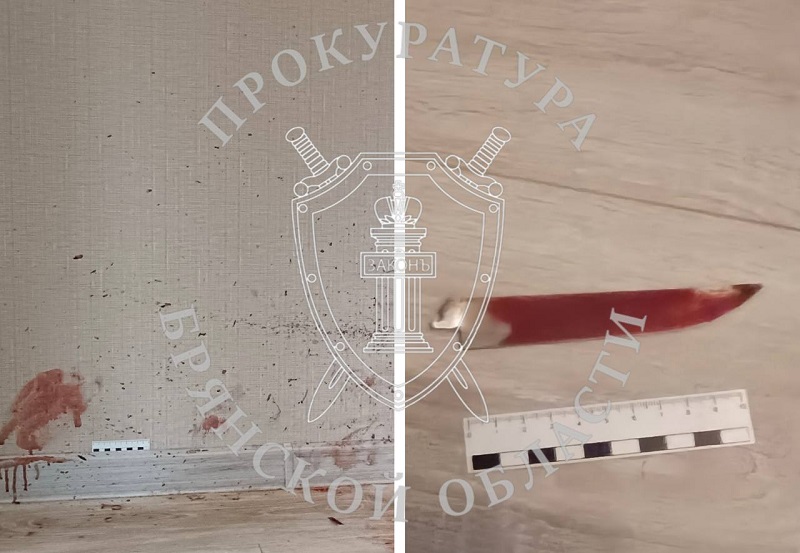 Школьник из Брянска отправлен под суд за попытку убийства с особой жестокостью