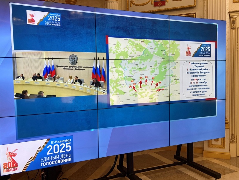 Выборы-2025: в Брянской области досрочно проголосовали 19,6 тысяч избирателей
