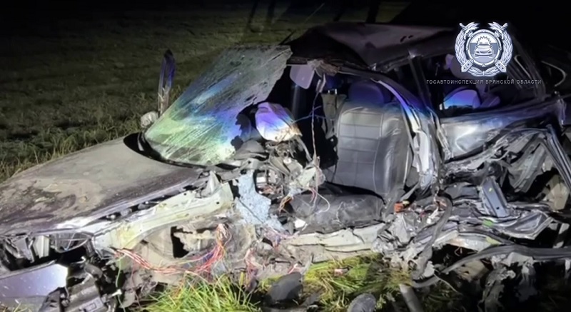 Автокресло не спасло: двухлетний ребёнок погиб в автоаварии на проклятом месте под Почепом