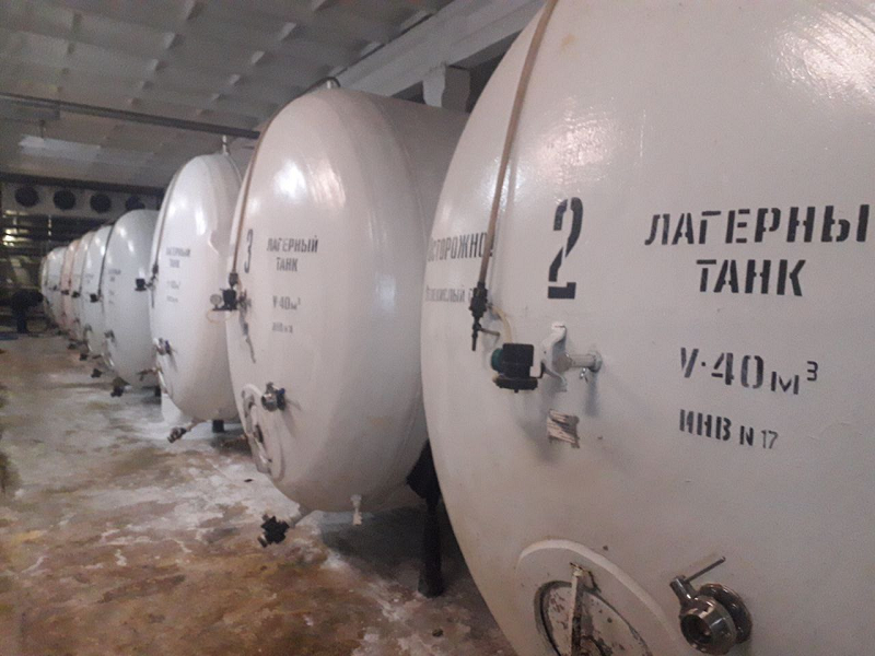 Лагер правит миром: 10 декабря – праздник самого популярного пива в мире