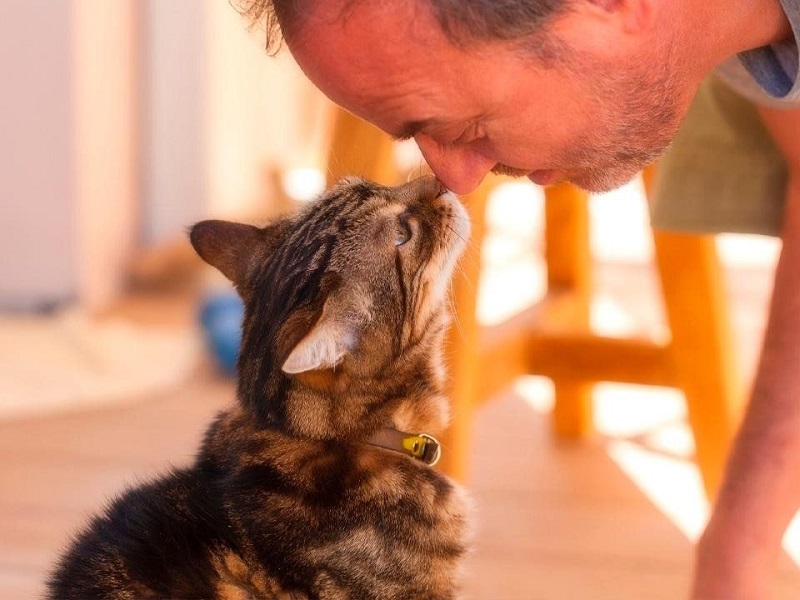 Депутат Брянской облдумы объяснил, почему коту нельзя носить крест