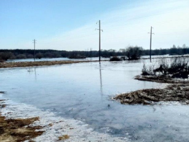 Весенний паводок в Брянске: уровень Десны поднялся на треть от максимума