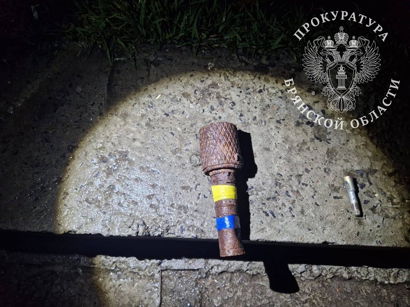 Дятьковский суд вынес приговор по делу о «теракте в сортире»