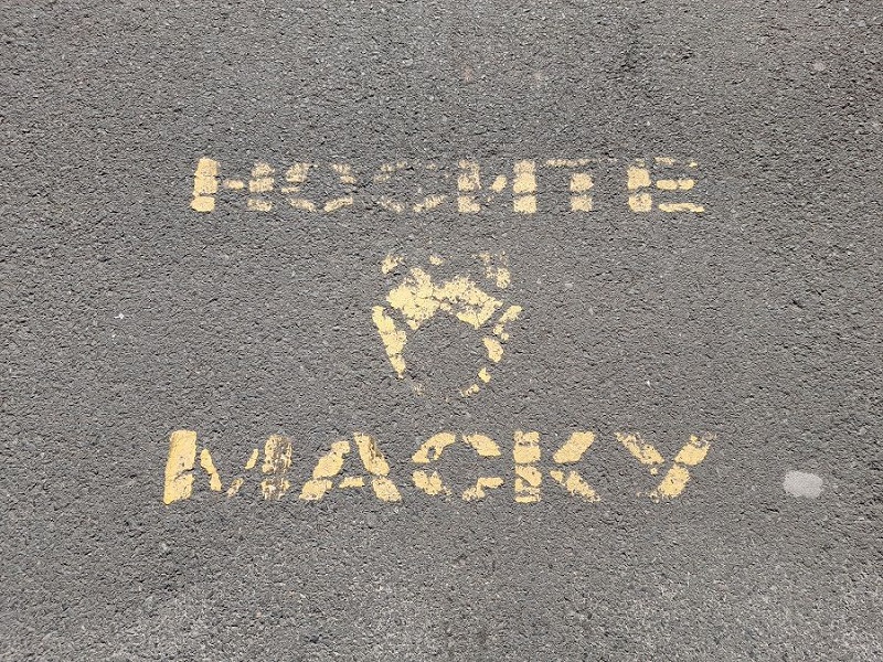 Хроники коронавирусной истерики: шесть лет назад был введён режим социальной дистанции, сегодня — анонсирован очередной штамм «Цикада»