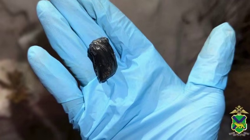 Сеть интернет-наркошопов ликвидирована в Брянской, Липецкой, Тульской и Тамбовской областях