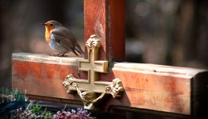 Впервые за двадцать с лишним лет на Радоницу в Брянске официально гуляют частные предприятия