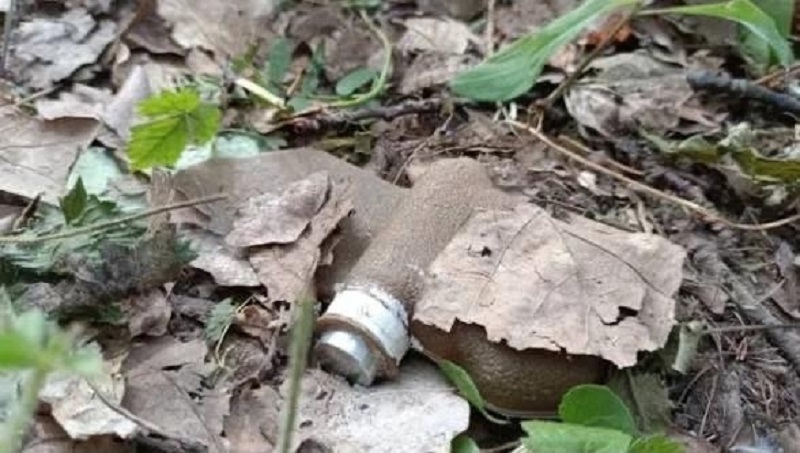 Военные сапёры разминируют два брянских районных центра, атакованных ВСУ